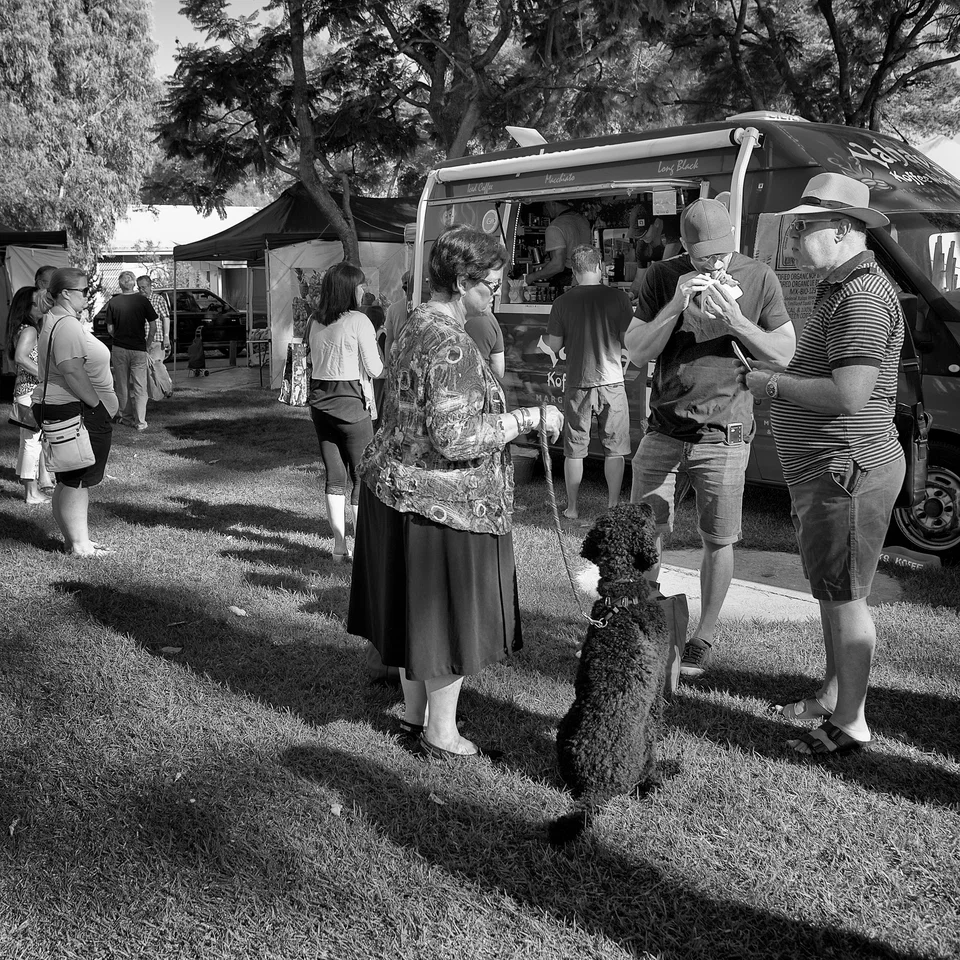 People and dogs gather at an outdoor event — photograph by Peter Pickering
